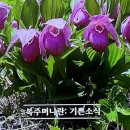 복주머니 이미지