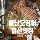 별난오징어 이미지