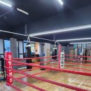 강병인복싱체육관 이미지