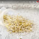 옛맷돌즉석두부 이미지