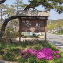 송화 펜션 이미지