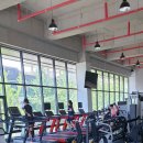 이티앤짐 이미지