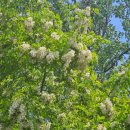 호암생태전시관 화장실 이미지