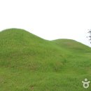 신덕고분군 이미지