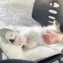 위치커피 물금점 이미지