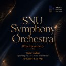 (11.2) 서울대학교 개교 80주년 기념 SNU Symphony Orchestra 정기연주회 이미지