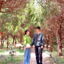 또래오래하동점 | 첫번째 결혼기념일 여행-1(구례화엄사)