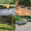 엘지전자(주)노원서비스센터 | 🦋 불암산 나비정원 산책기 – 강아지와 함께한 도심 속 쉼표