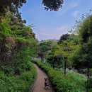 일호방앗간 이미지