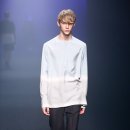 라드(LAD)