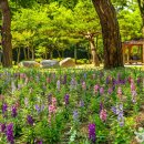 이니스프리대구 - 북구 침산로 138 | 이니스프리대구