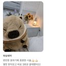 뷰티 in 독 | 여름휴가 준비 브라질리언왁싱,언제하는게 좋을까? | 부천왁싱 뷰티인하얀