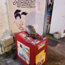 목포게임랜드 이미지
