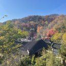 청운작은도서관 | 서촌 단풍 청운문학도서관 실시간 주차 가는길