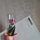 터미널 다솔빌딩 국민은행 앞 | [W-2] 창원홀투어, 창원웨딩홀 계약후기 |인터네셔널 호텔, 창원 리베라 컨벤션, 미래웨딩캐슬