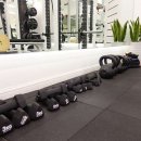 포에버 퀸즈짐 이미지