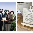 커피트리 이미지