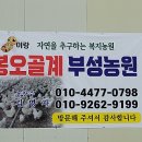 부성2농장 이미지