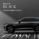 일산후퍼옵틱 이미지