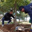 창선농장 이미지