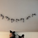 주전월남정화장실 이미지