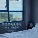 가지스테이 | 강원도여행지 추천 호호스테이 여름휴가 동해감성숙소 내돈내산