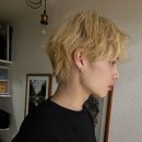 코스모센트