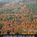 (주)대덕바이오 이미지