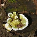 청아여관 이미지