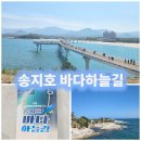 안녕바다 | 고성 송지호 바다하늘길★시범운영 다녀온 후기!