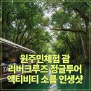 원주민체험 괌 리버크루즈 정글투어 액티비티 소름 인생샷