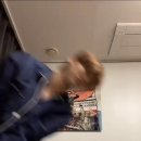 하오츠 이미지