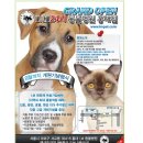 아이엠 동물병원 이미지