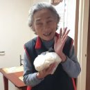 대송면행정복지센터 이미지