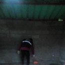 태평양환경 이미지