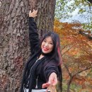 금산스포츠
