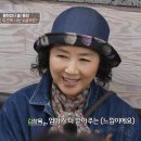 아일로 이미지
