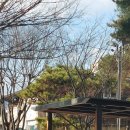 금성어린이공원 이미지