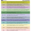 테라피 요가 & 매트 필라테스 이미지