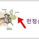 조은소리보청기서울지사 이미지