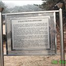 조견사우 이미지