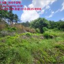 회성동267 이미지