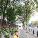 강산 태권도장 이미지