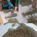 바리스타폴 커피칸타타 이미지