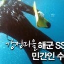 강정동-53 이미지