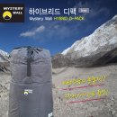 디팩