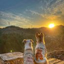 반디빌리지 이미지