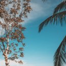 경희매일아침한의원 이미지