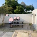 탠저린드림 이미지