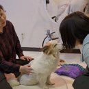 제주가족의 시간 이미지